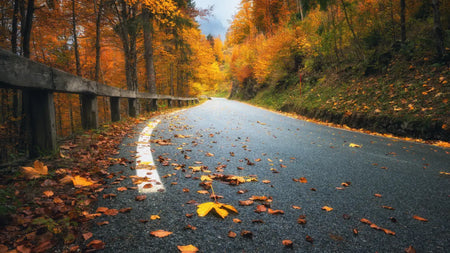 How to Prepare Your Vehicle for Fall and Winter Driving