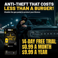 gallery-theft-Ford-Bronco